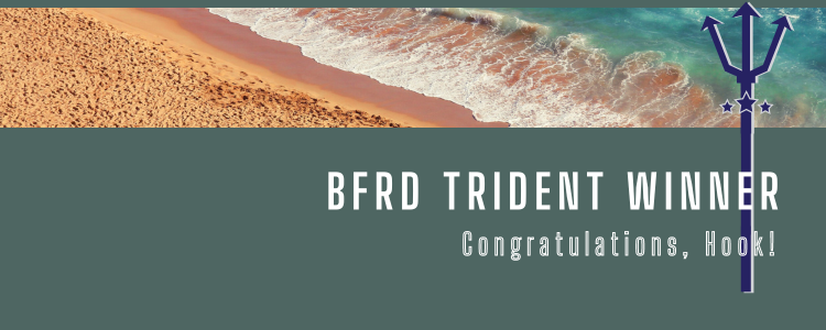 BFRD Trident Winner – Hook